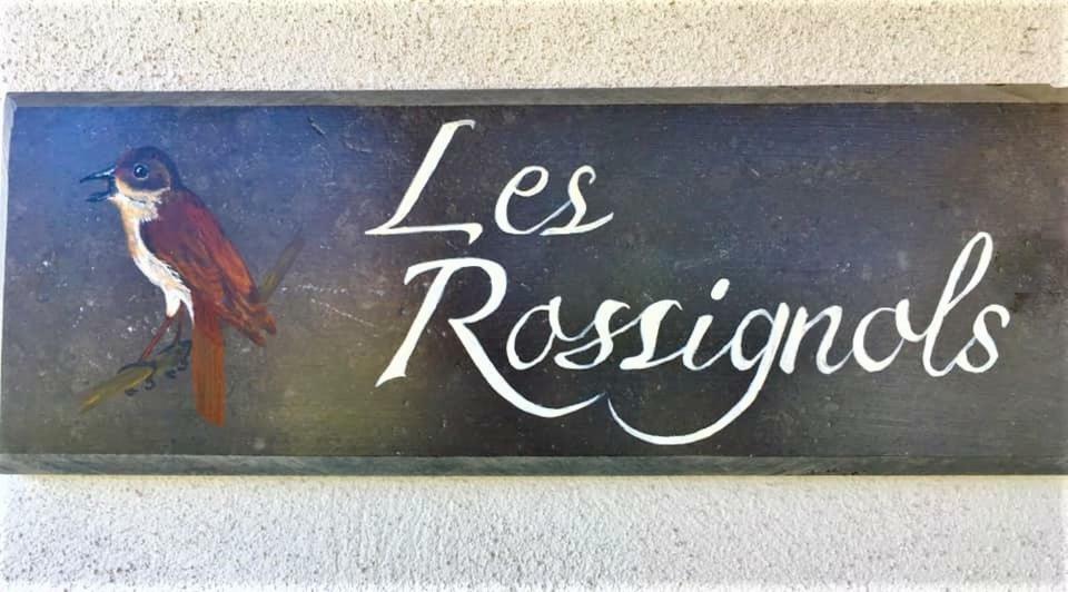 Villa Les Rossignols à Saint-Jeanvrin Extérieur photo